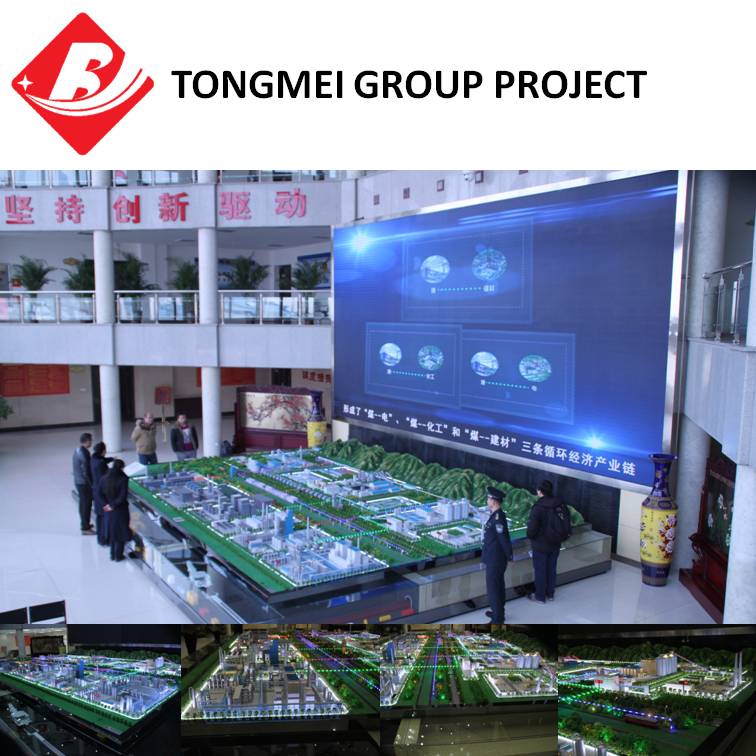 Tongmei Group Project